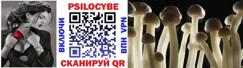где найти наркотики  mega ссылка  Галлюциногенные грибы Psilocybine cubensis  Островной 